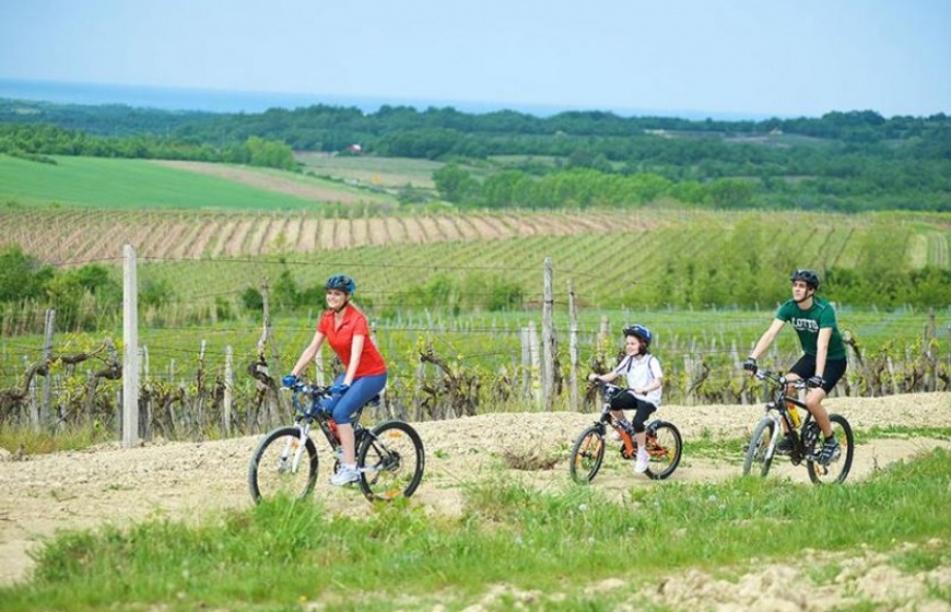 Active holidays in Istria