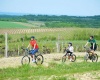 Active holidays in Istria